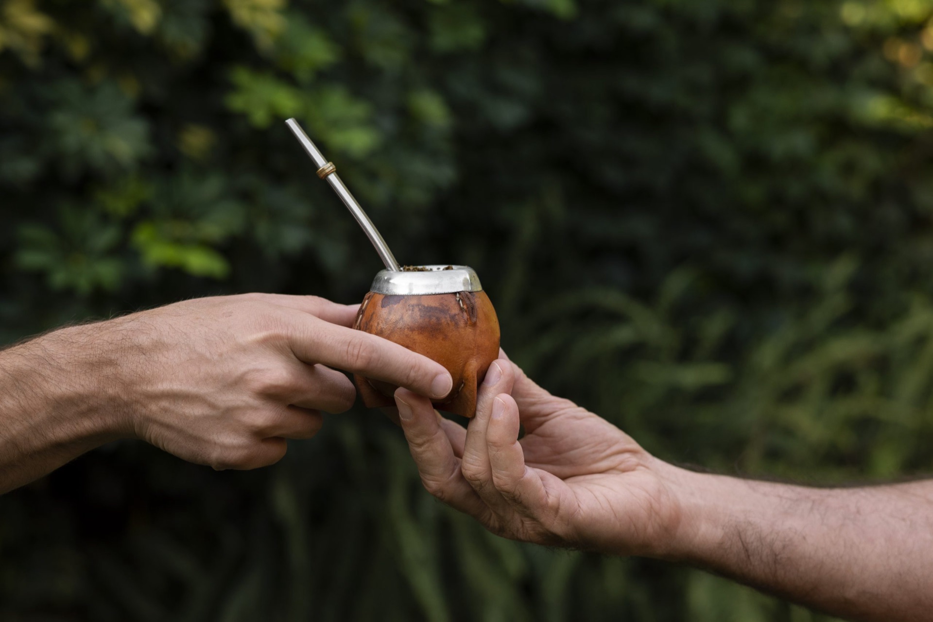 Tereré artesanal servido en guampa